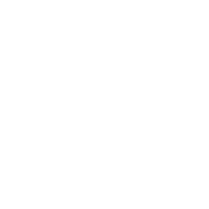icona portfolio